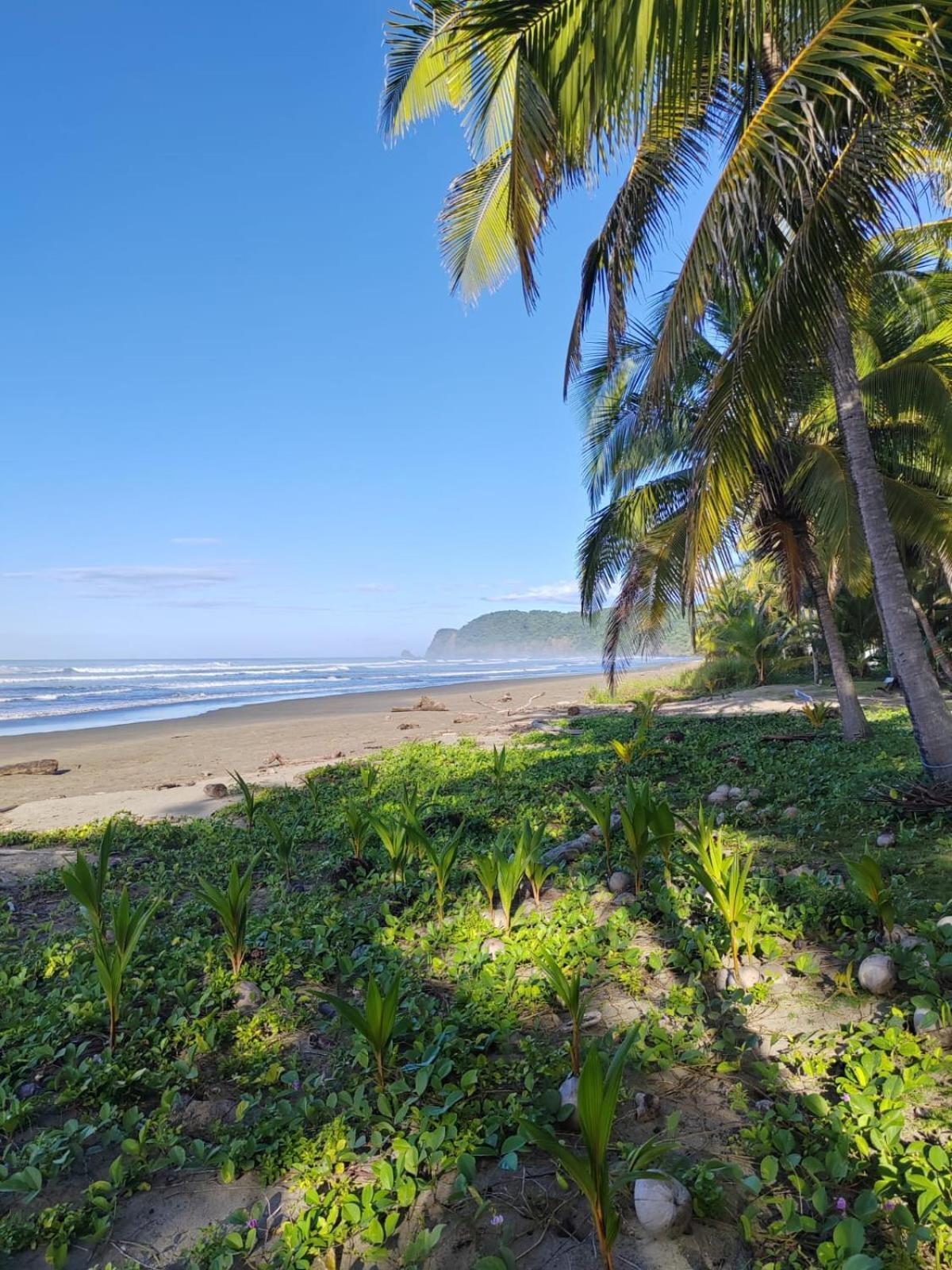 Surf Camp Playa San Miguel Hotel Nandayure Exterior photo